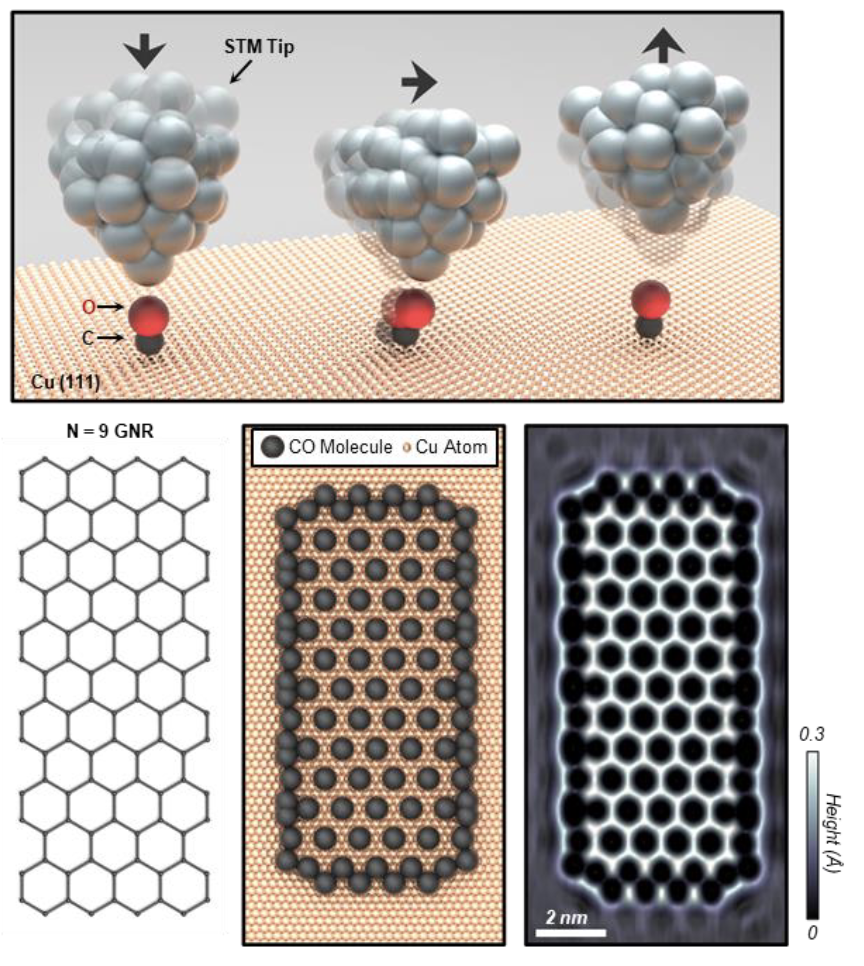 Artificial Graphene Nanoribbons: A Test Bed for Topology and Low-Dimensional Dirac Physics