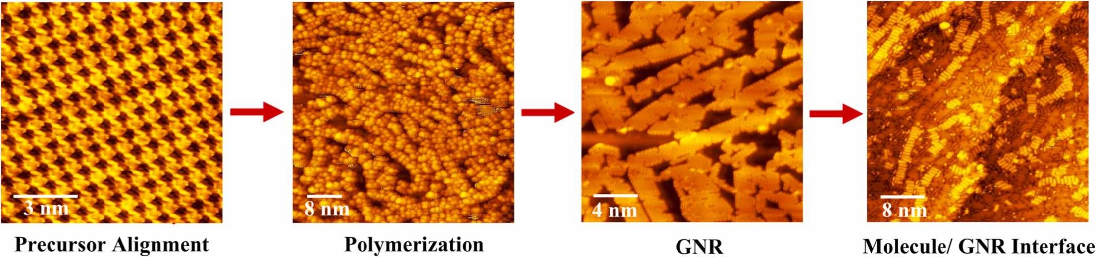 Fabrication of graphene nanoribbons/organic molecules interface