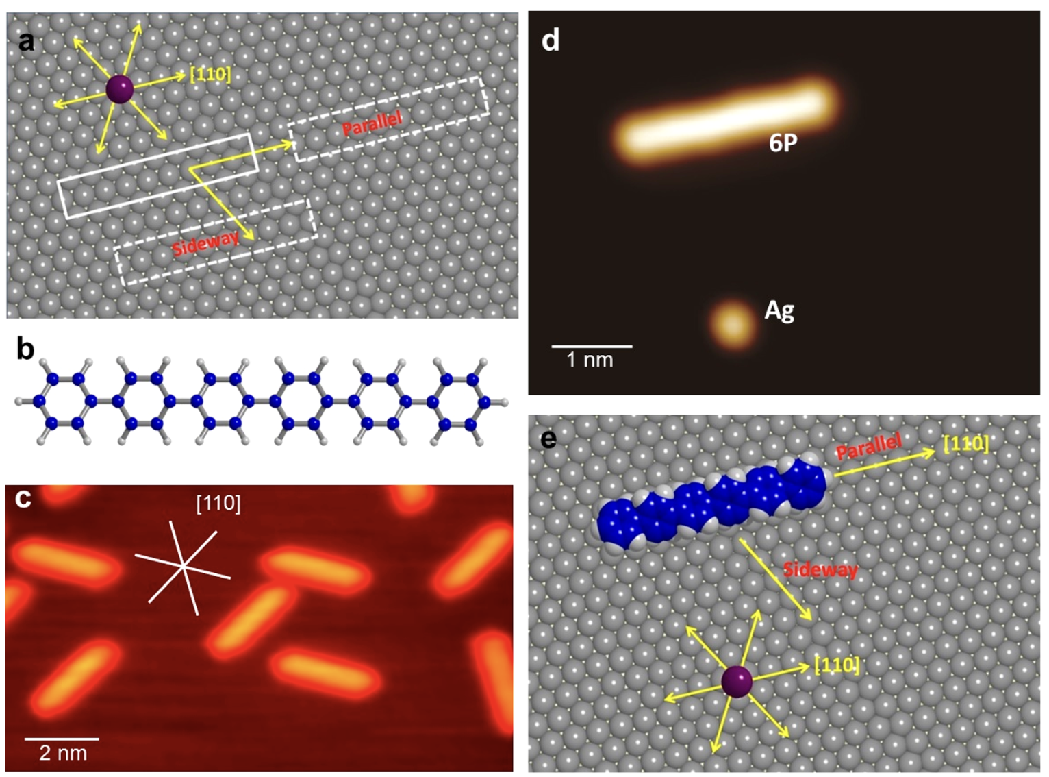 One-Dimensional Lateral Force Anisotropy at the Atomic Scale in Sliding Single Molecules on a Surface