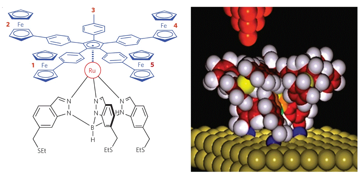 Controlled Clockwise and Anticlockwise Rotational Switching of a Molecular Motor