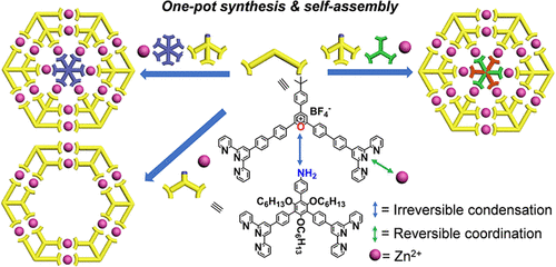 Combining Synthesis and Self-Assembly in One Pot to Construct Complex 2D Metallo-Supramolecules Using Terpyridine and Pyrylium Salts