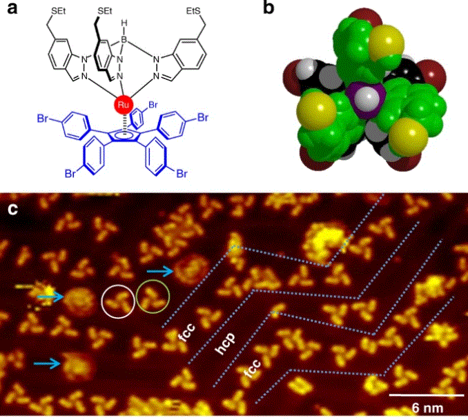 A Chiral Molecular Propeller Designed for Unidirectional Rotations on a Surface
