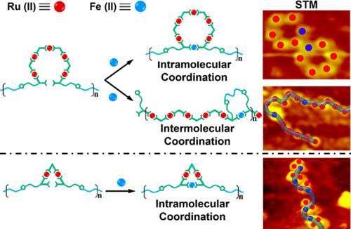 Synthesis of Metallopolymers and Direct Visualization of the Single Polymer Chain