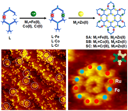 Self-Assembly of Metallo-Supramolecules under Kinetic or Thermodynamic Control: Characterization of Positional Isomers Using Scanning Tunneling Spectroscopy