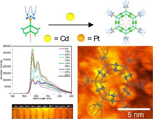 Giant Concentric Metallosupramolecule with Aggregation-Induced Phosphorescent Emission