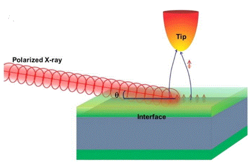 X-ray Magnetic Circular Dichroism and Near-Edge X-ray Absorption Fine Structure of Buried Interfacial Magnetism Measured by Using a Scanning Tunneling Microscope Tip