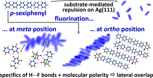 Subtle Fluorination of Conjugated Molecules Enables Stable Nanoscale Assemblies on Metal Surfaces