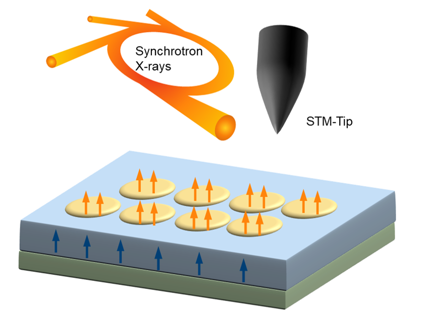 Materials science microscopy image